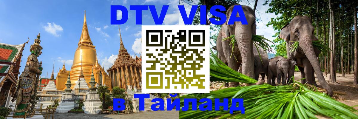 Оформление DTV визы под ключ: стоимость и тарифы, только загранпаспорт - Назрань 